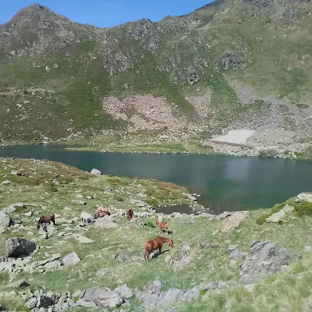 Pleta De سولديو
